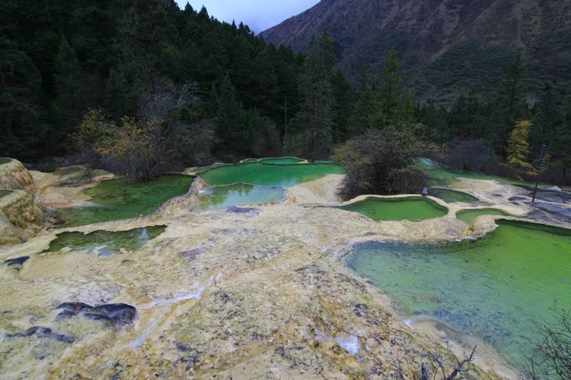 hoanglong207-1.jpg