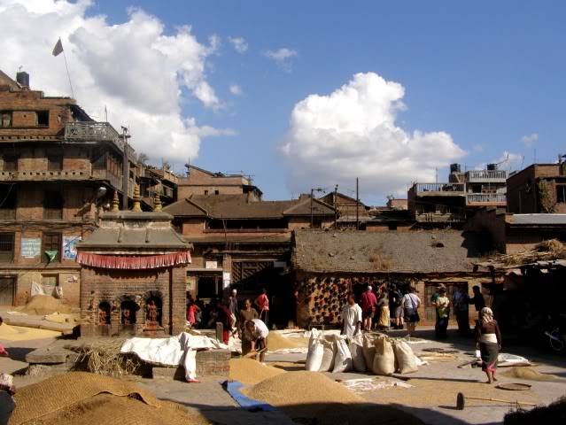 PA300298.jpg