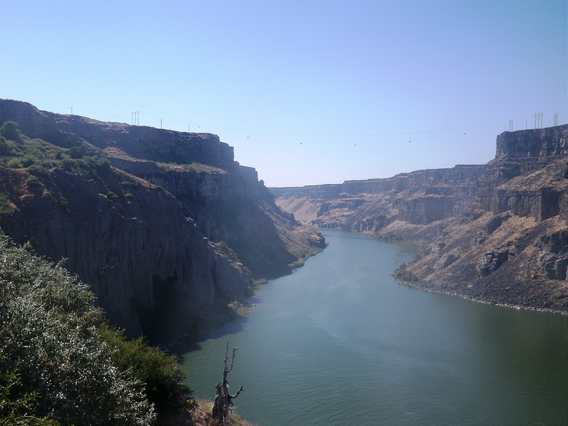 10067997913_41a4fdc56c_c.jpg