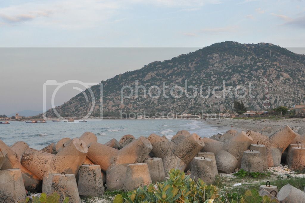 DSC_0012.jpg