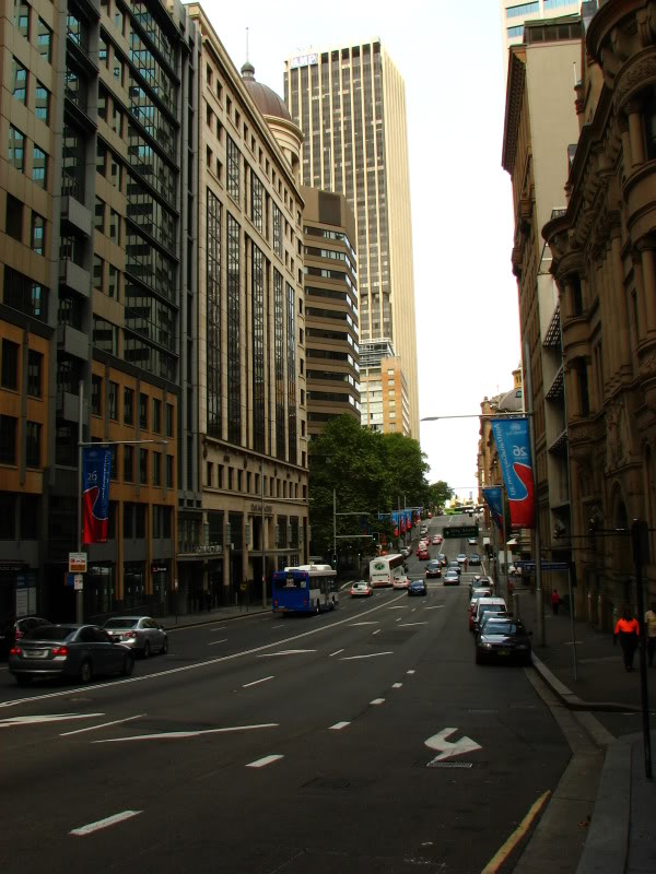 Picture011.jpg