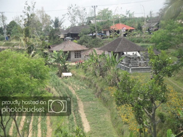 DSC07608_zps9b4e0bb7.jpg