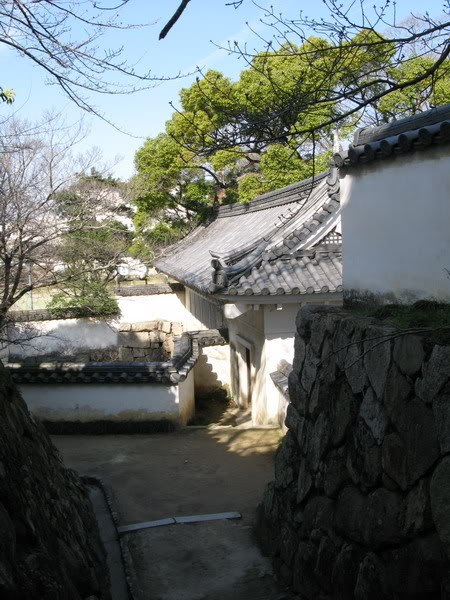 IMG_1258_resize.jpg