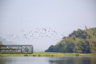 DSC_0214.jpg