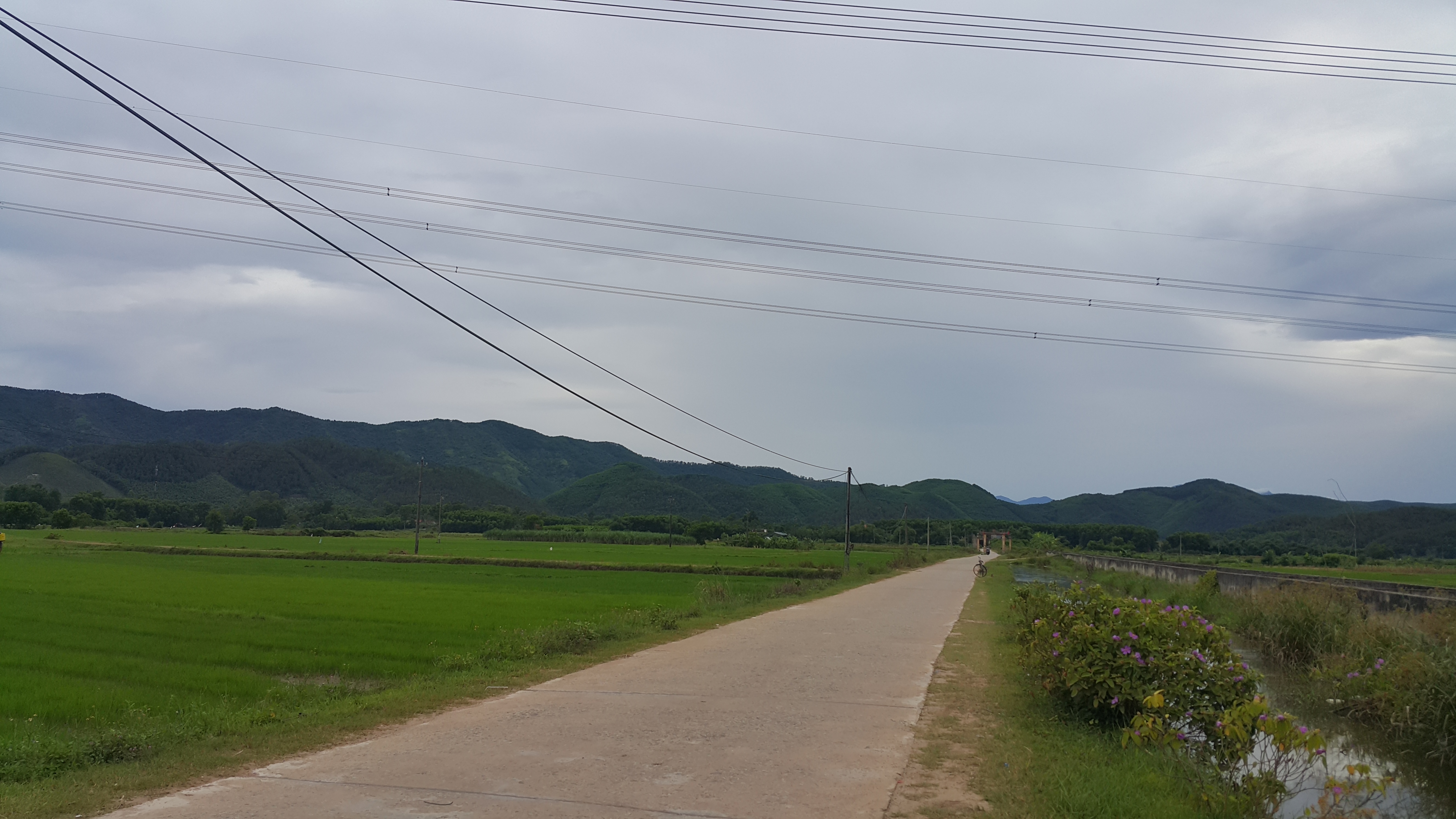 20170618_152106.jpg