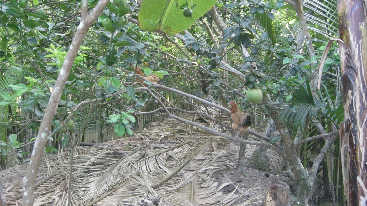 DSCN2771.jpg