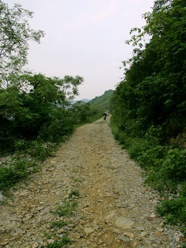 IMG_0846.jpg