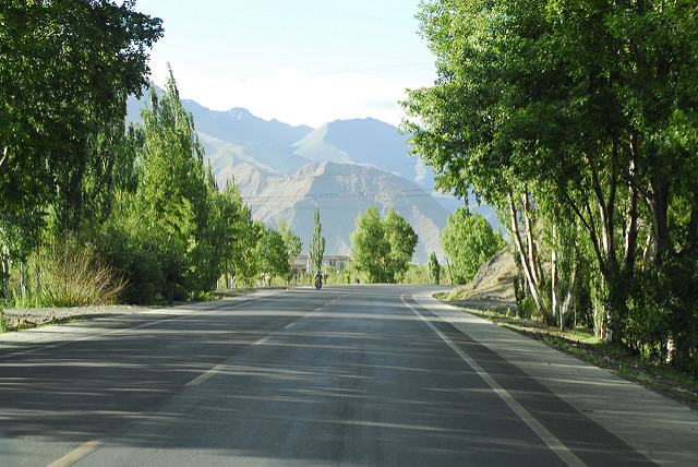 4773957132_13007acd54_z.jpg