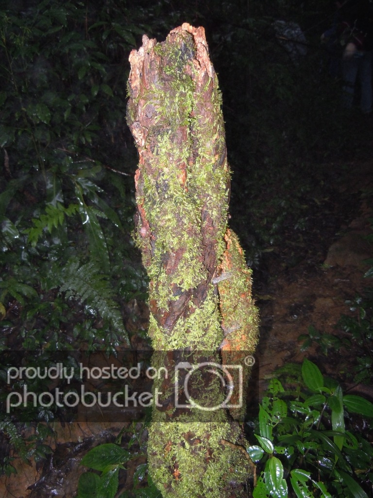 DSCN4198.jpg