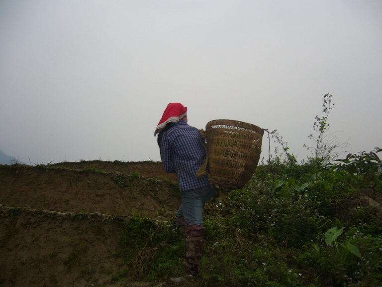 P1080087.JPG