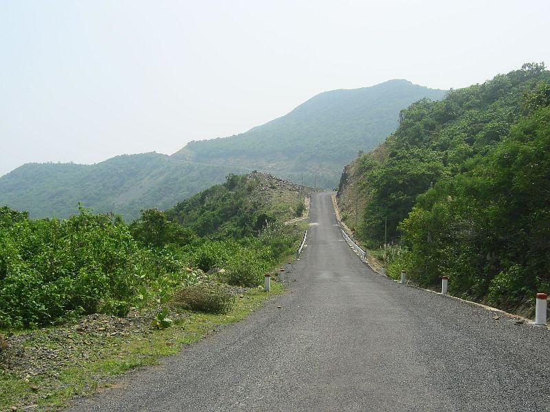 IMG_7883.jpg