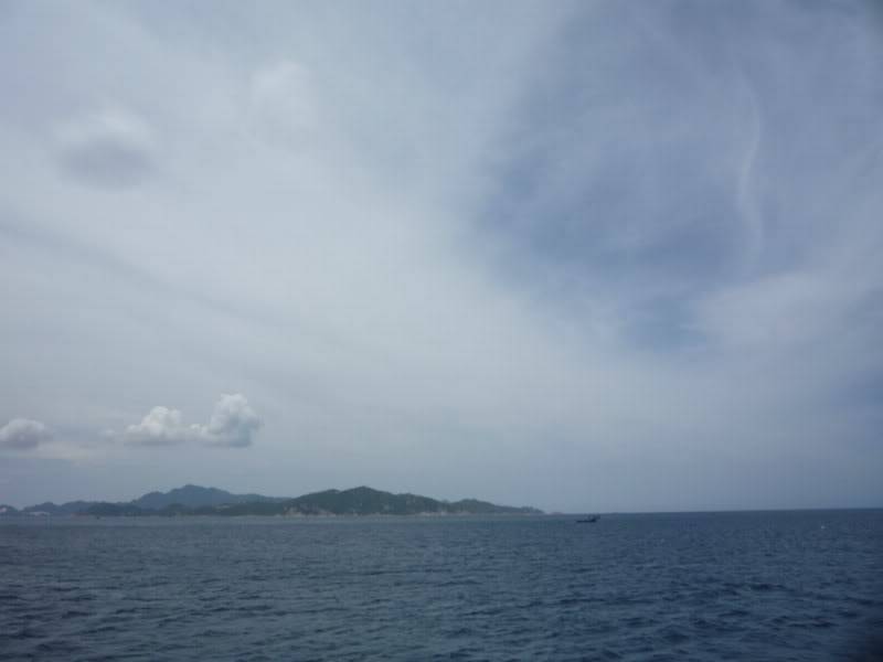 P1010547800x600.jpg