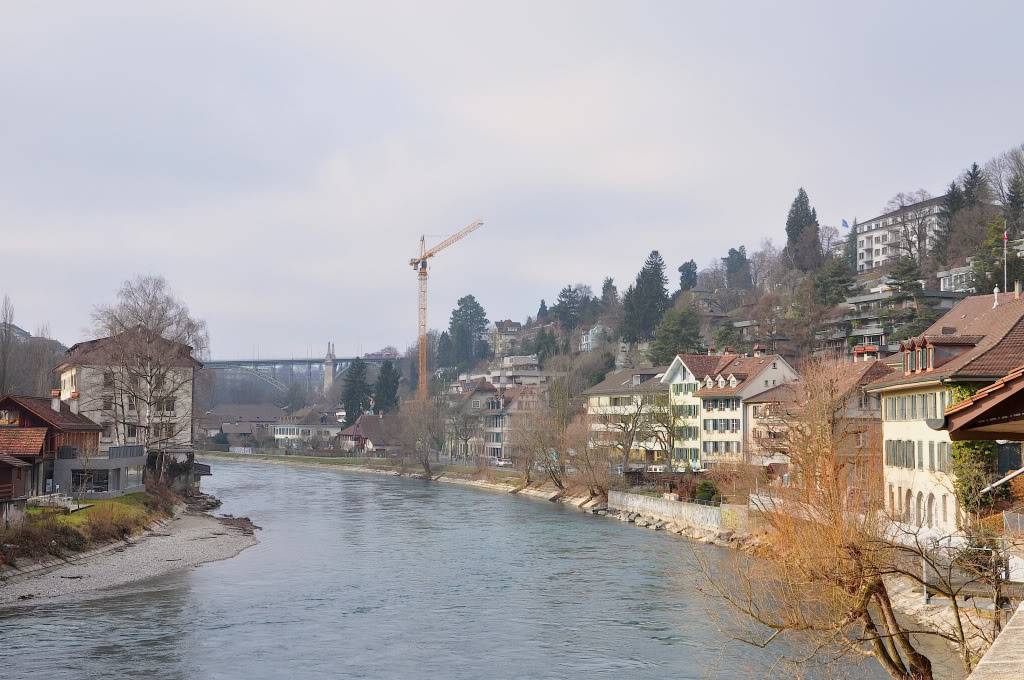 DSC_0723.jpg