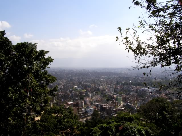 PA280700.jpg