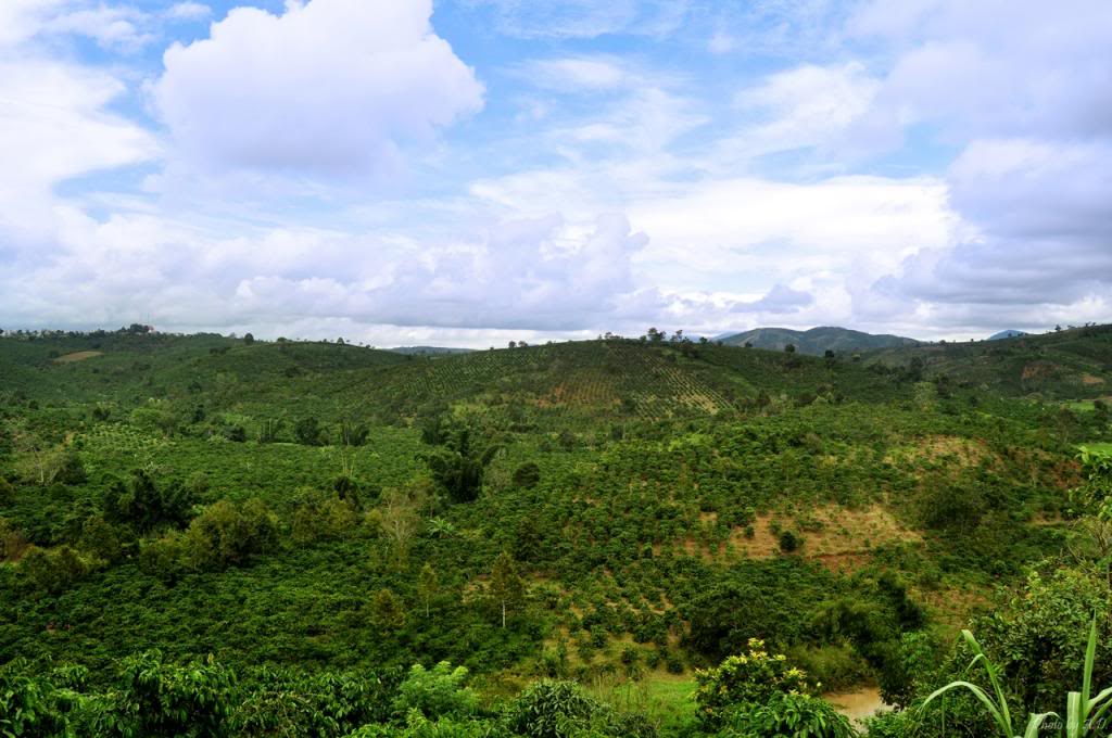 DSC_0024__zps071bc947.jpg