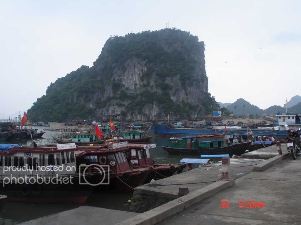 DSC09452.jpg