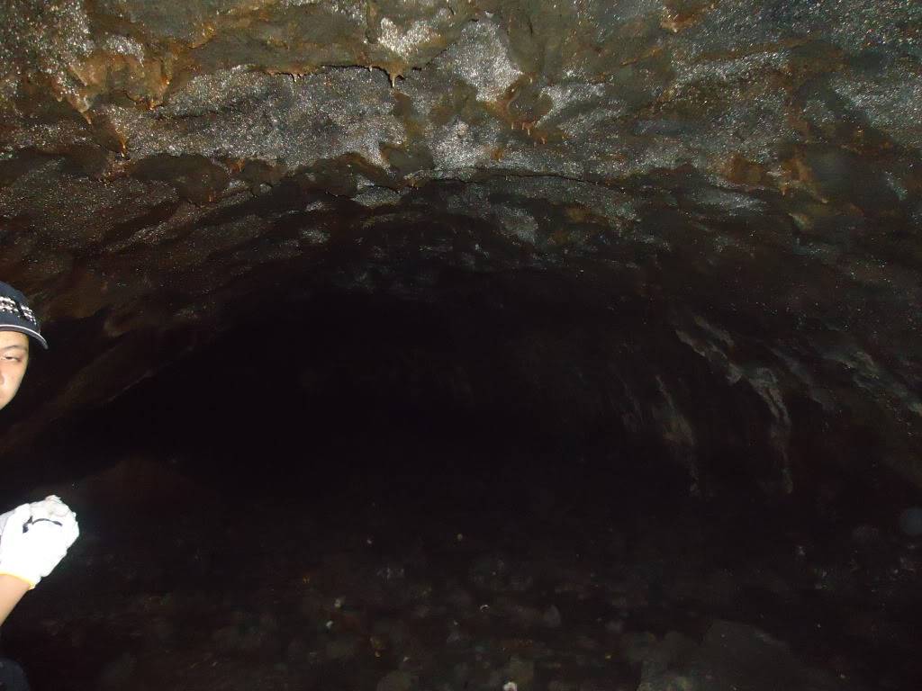 DSC01213.jpg
