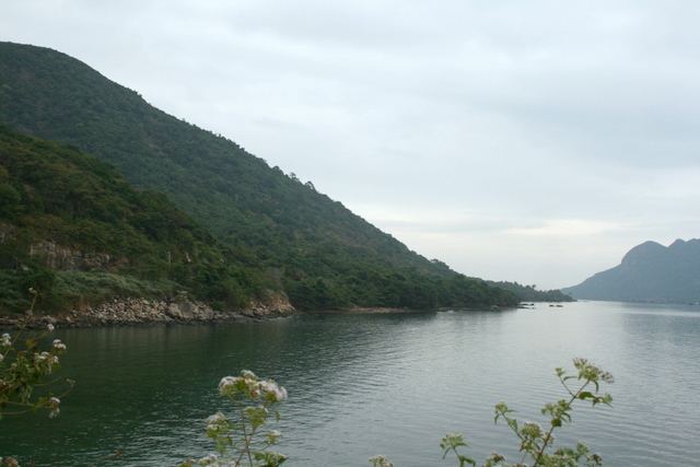 IMG_4854.JPG