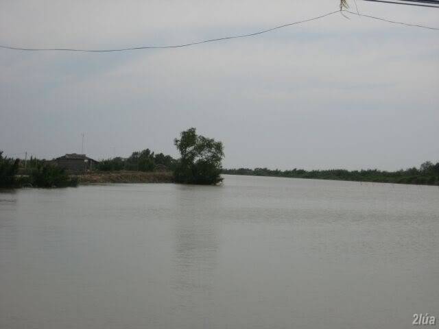 IMG_2409.jpg