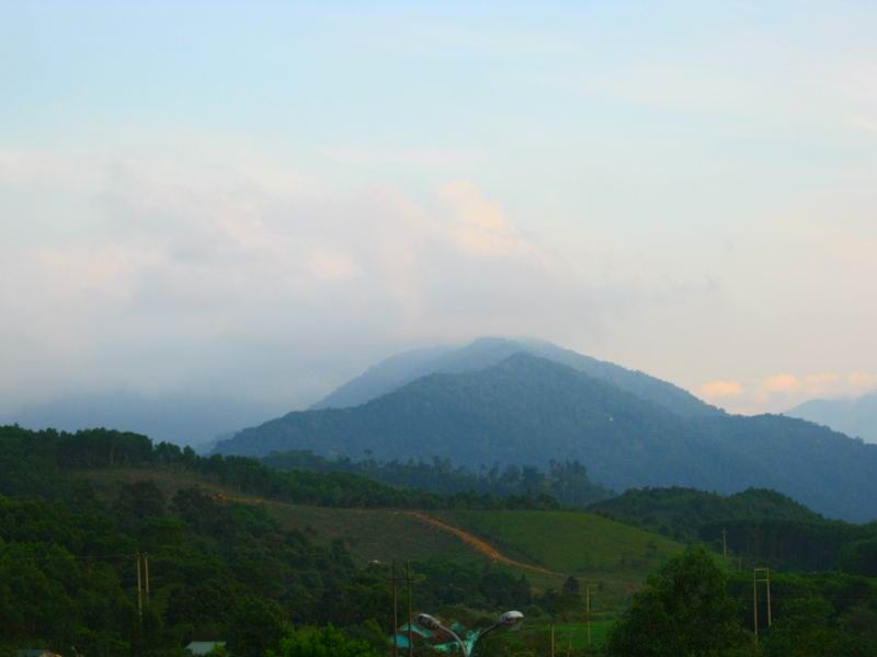 IMG_2327.jpg