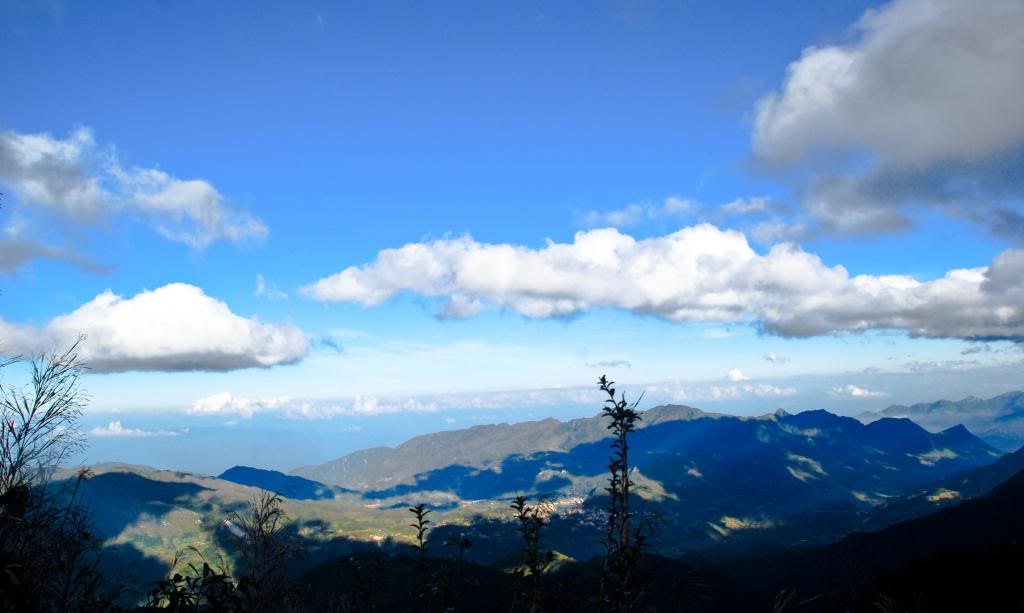 DSC_0140.jpg