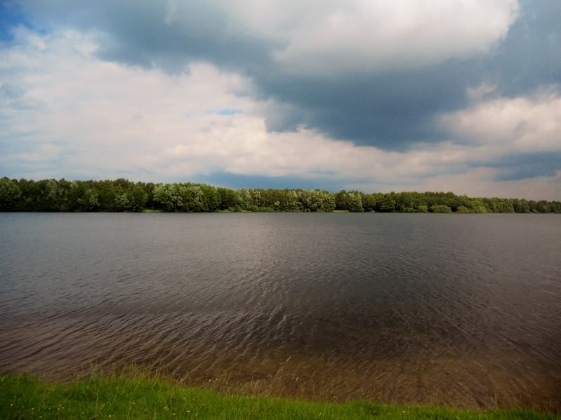 DSCN8496.jpg