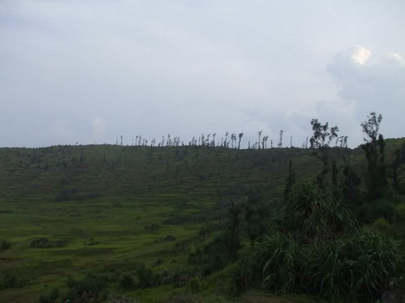 DSCF6855.jpg