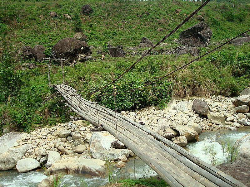 DSC08159-1.jpg