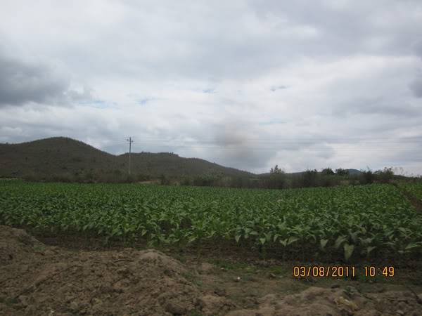 IMG_4720.jpg