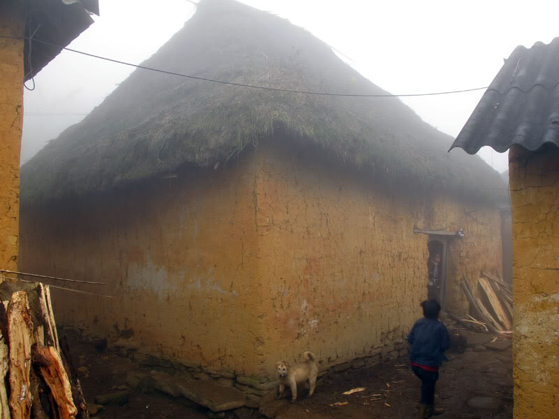 HongNgai2011295.jpg