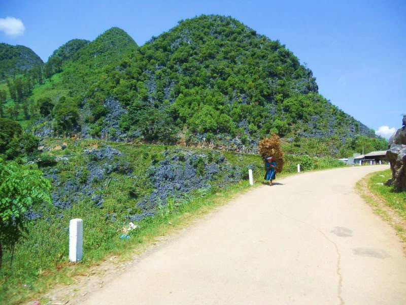 DSCN3972.jpg