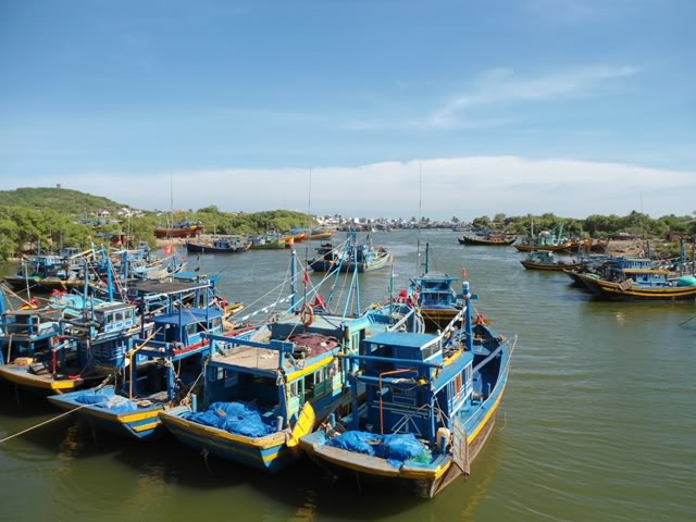DSC02033.jpg