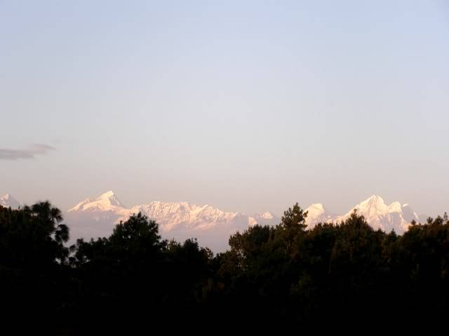 PB010176.jpg