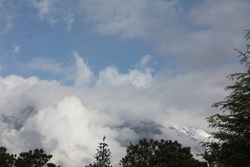IMG_9627_zpscimxaz6w.jpg