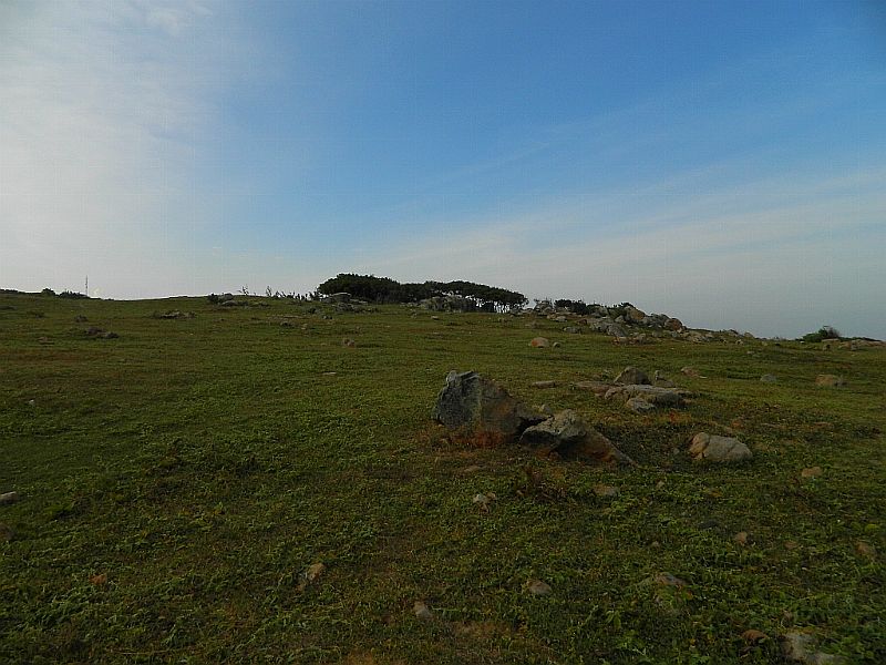 DSCN4518_346.jpg