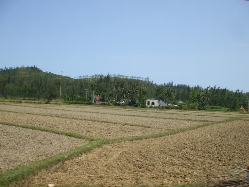 DSCF7253.jpg