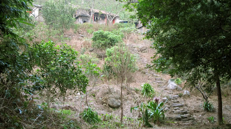 TayYenTu1010795.jpg