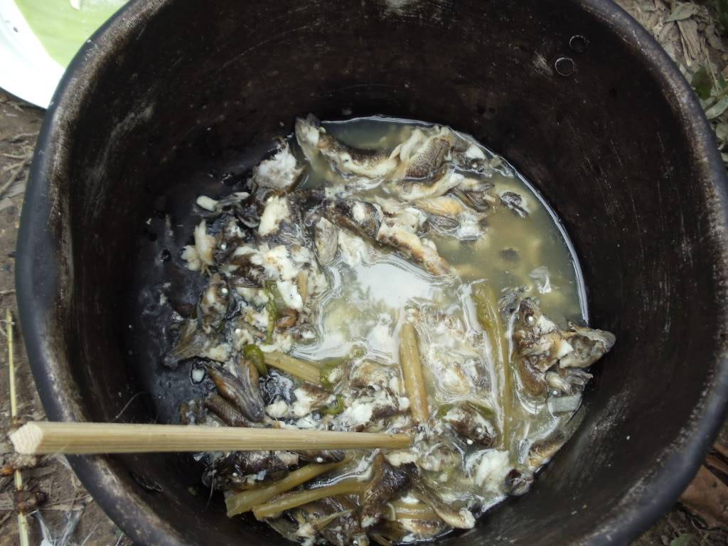 DSC01681.jpg