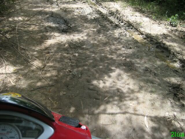 IMG_1643.jpg