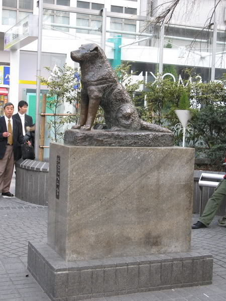 IMG_2185_resize.jpg