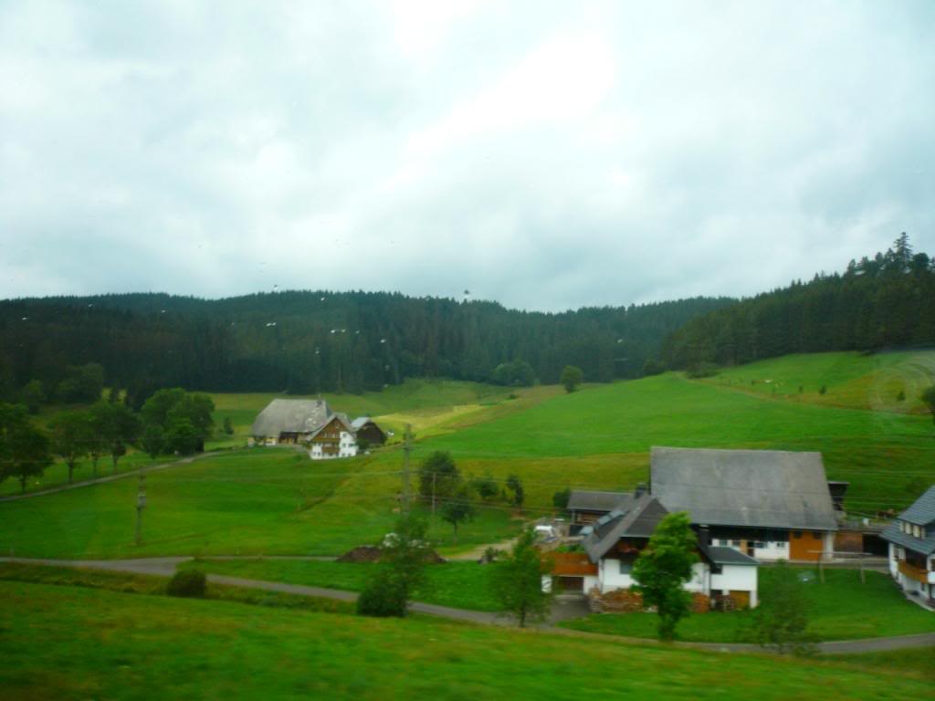 P1020204.jpg