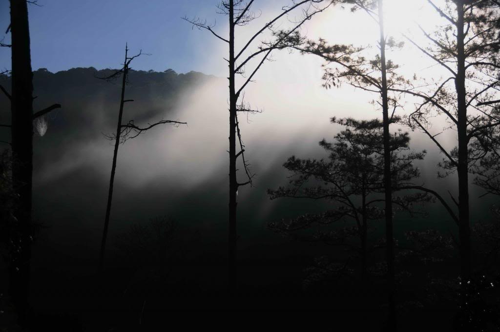 DSC_9610.jpg