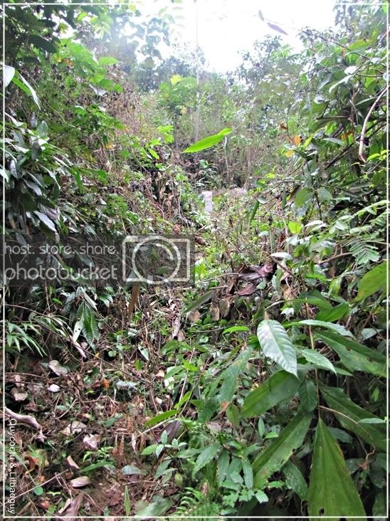 Songdacuoi_Quycoctu40.jpg