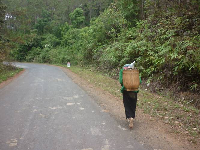 P1260490.jpg