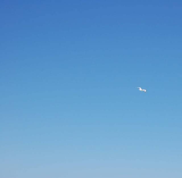 bluesky.jpg