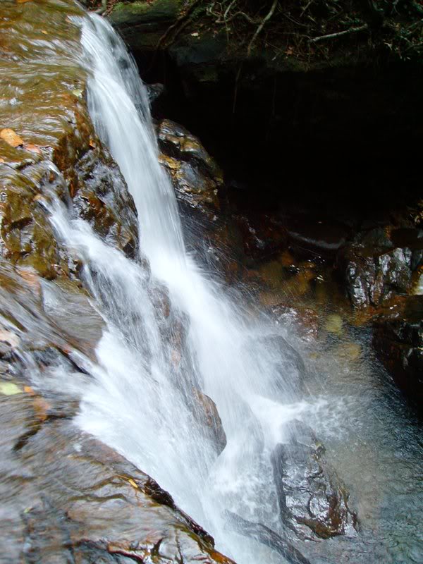 SANY4414.jpg
