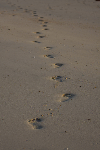 5984048123_4730253939.jpg