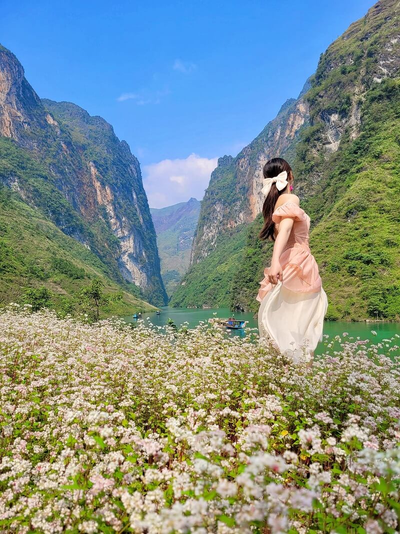 Đến với hẻm vực Tu Sản vào mùa thu bạn sẽ được chiêm ngưởng hoa tam giác mạch nở rộ