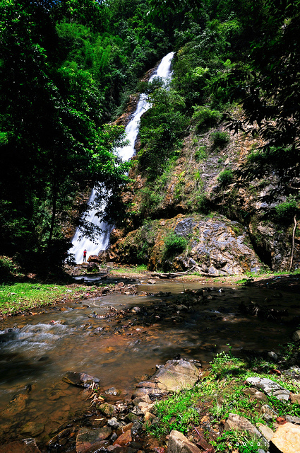 7453723456_8a07f2292c_z.jpg