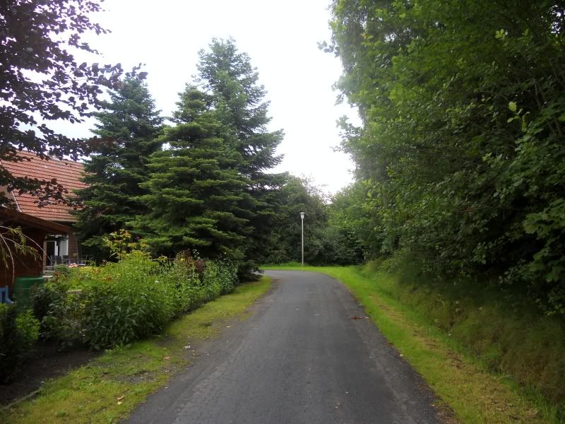 DSCN8729.jpg